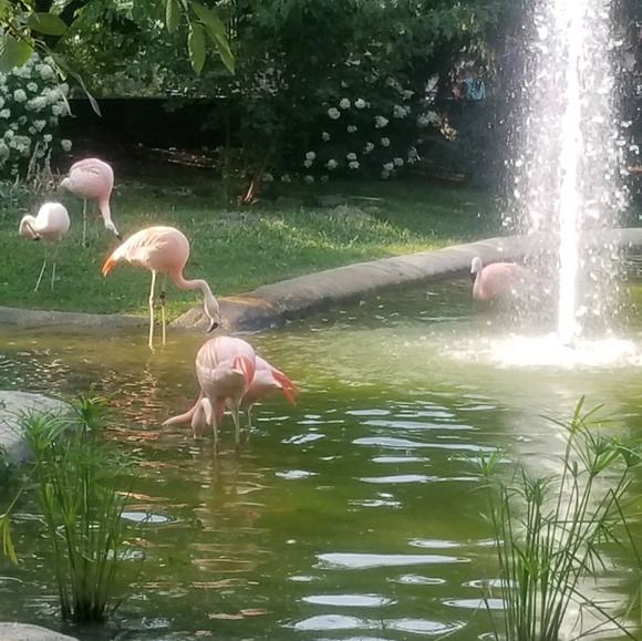 Meet your Posher, Kelcy - Picture 1 of 1